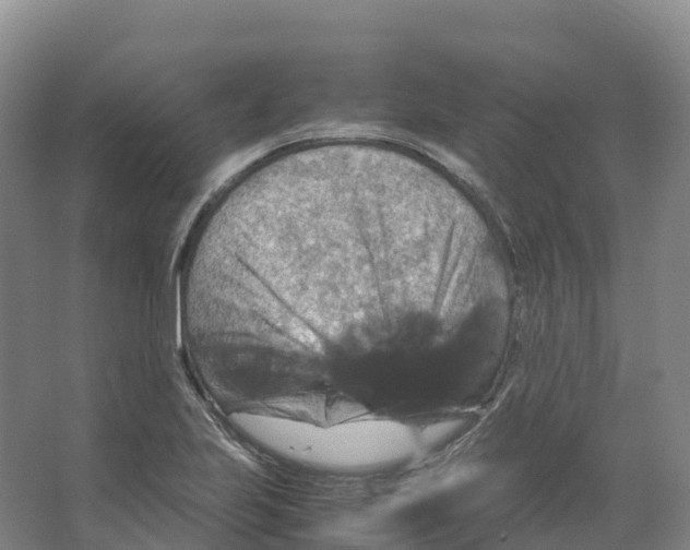 X0000066541223200604141857