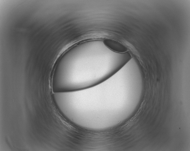 X0000066541226200604141857