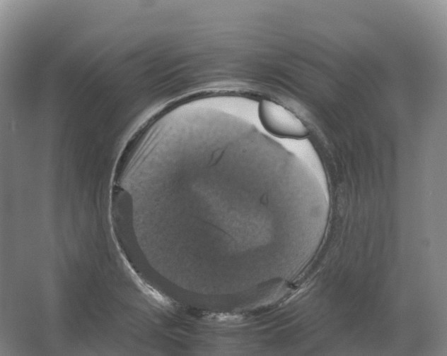 X0000066541229200604141857