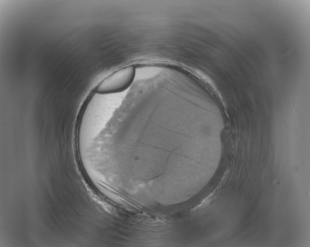 X0000066541231200604141857
