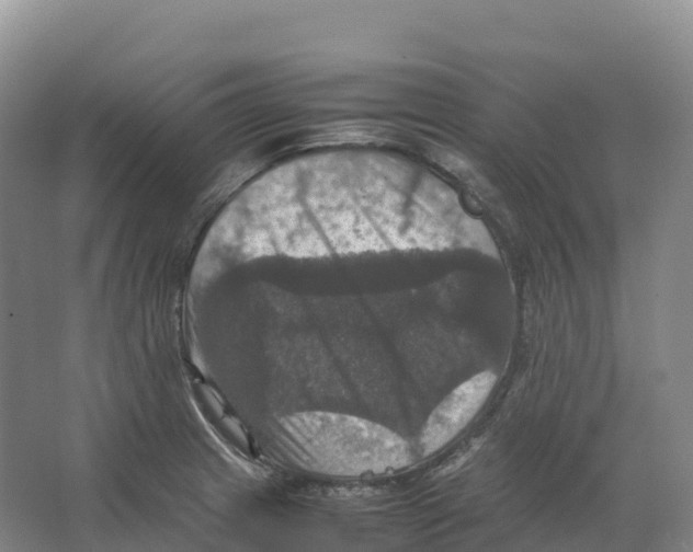 X0000066541233200604141857