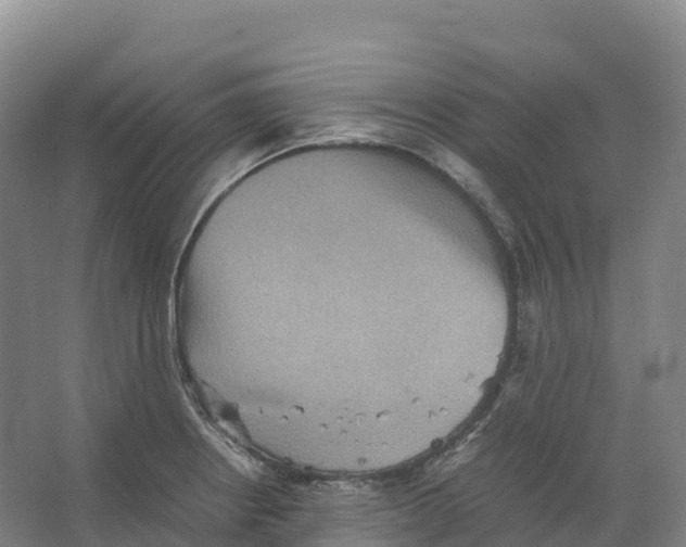 X0000066541234200604141857