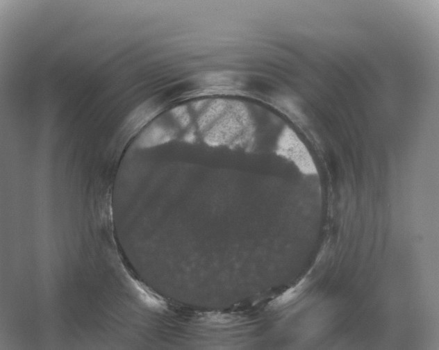 X0000066541241200604141857