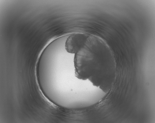 X0000066541243200604141857