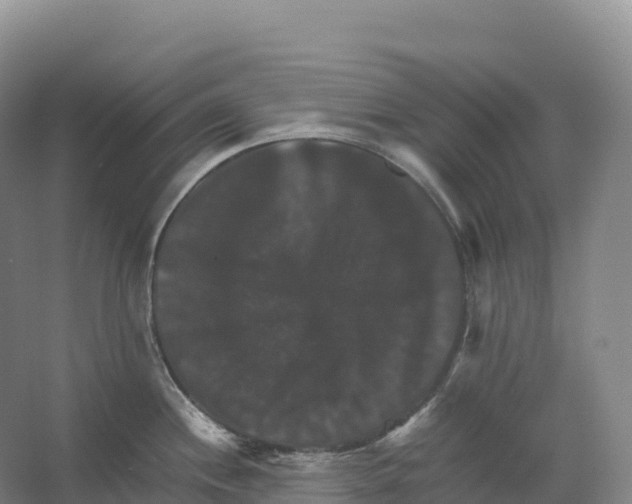 X0000066541244200604141857