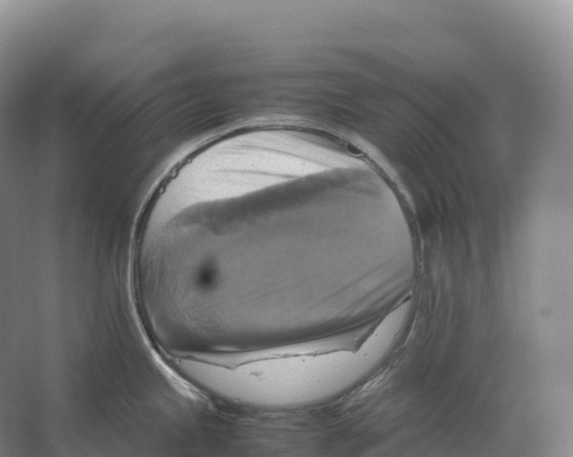 X0000066541245200604141857