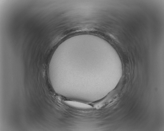 X0000066541257200604141856