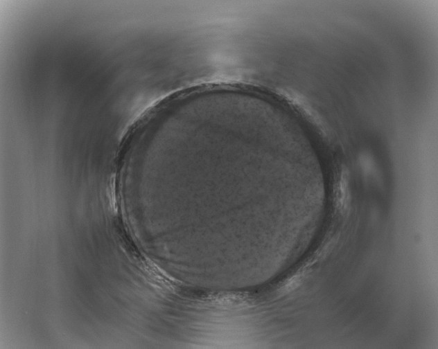 X0000066541262200604141856