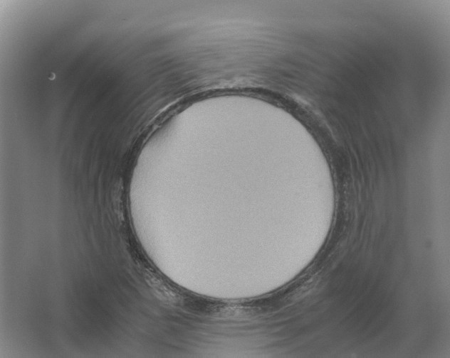X0000066541265200604141856