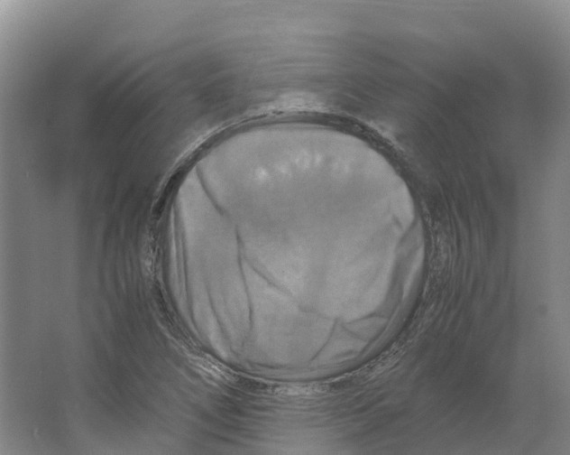 X0000066541266200604141856