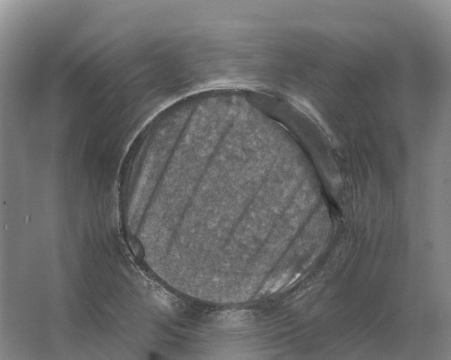 X0000066541268200604141856