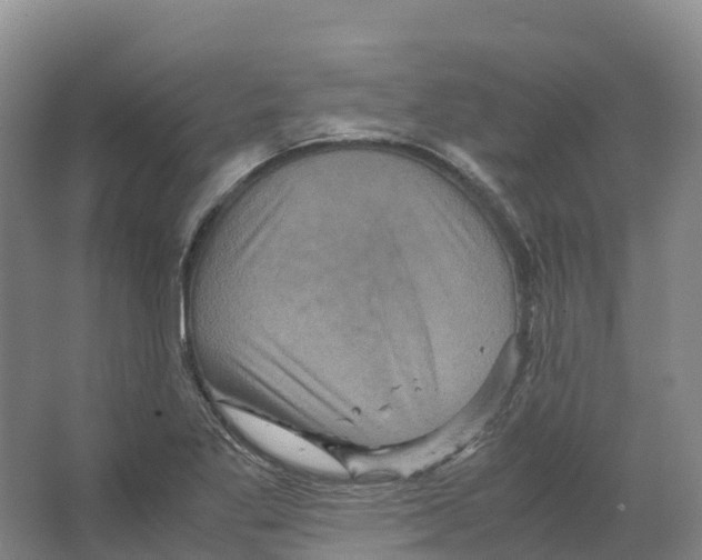 X0000066541269200604141856