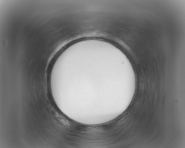 X0000066541270200604141856
