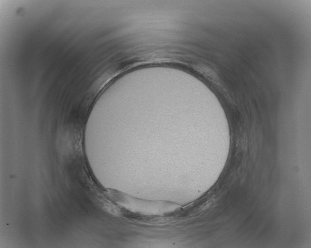 X0000066541273200604141856
