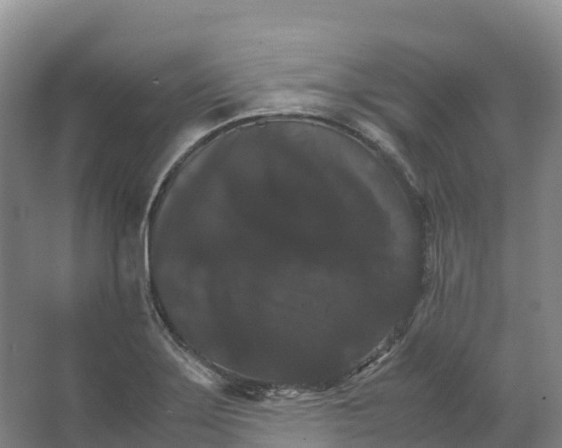 X0000066541275200604141856