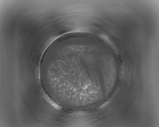 X0000066541276200604141856