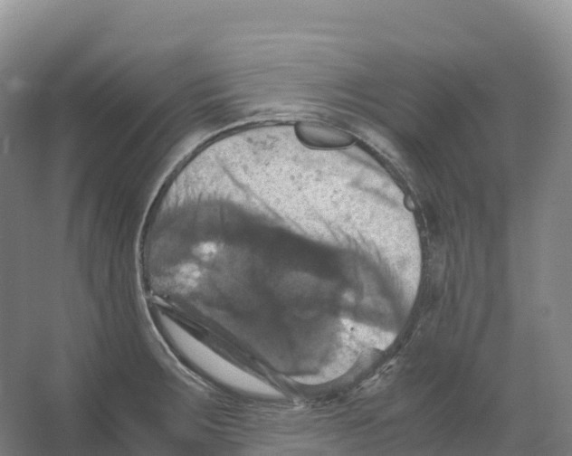 X0000066541283200604141856