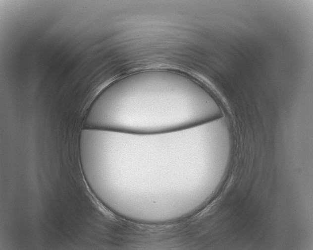 X0000066541289200604141856
