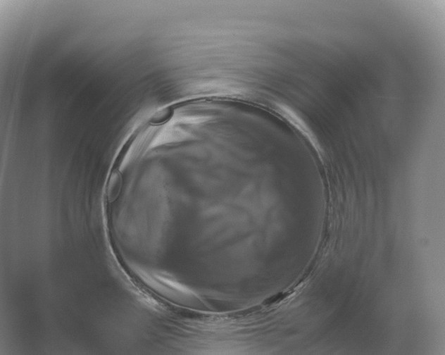 X0000066541291200604141856