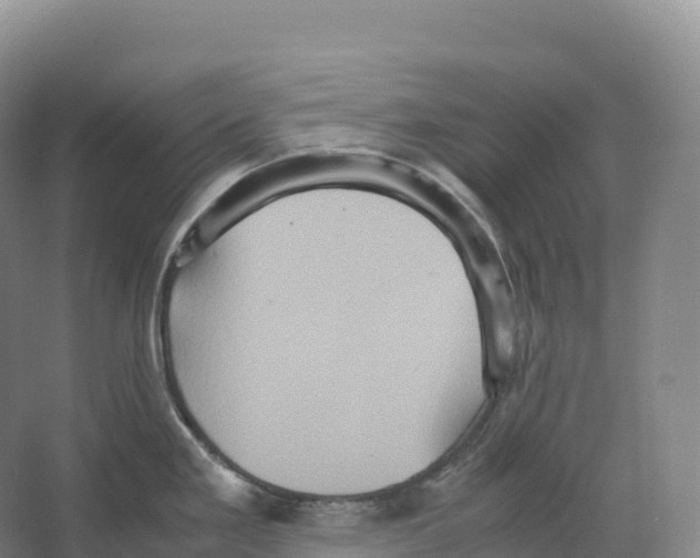 X0000066541293200604141856