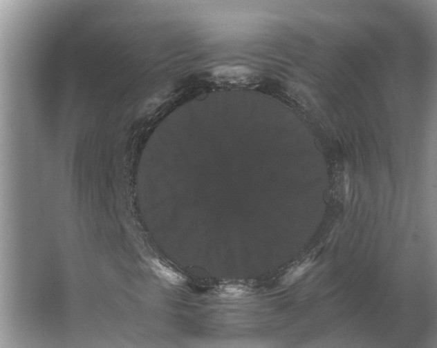 X0000066541297200604141855