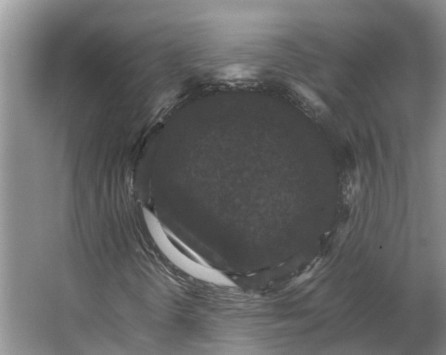 X0000066541298200604141855