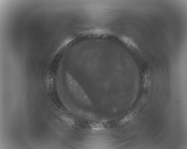 X0000066541302200604141855
