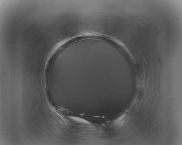 X0000066541319200604141855