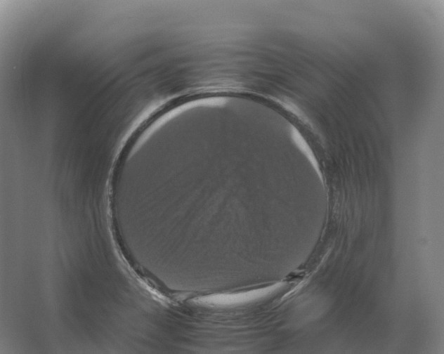 X0000066541325200604141855