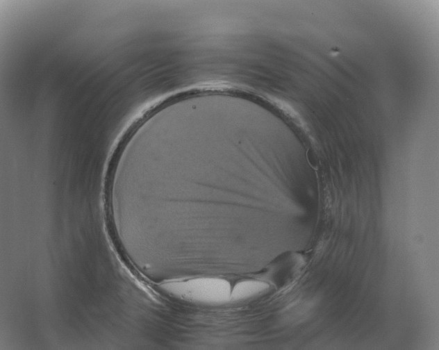 X0000066541327200604141855