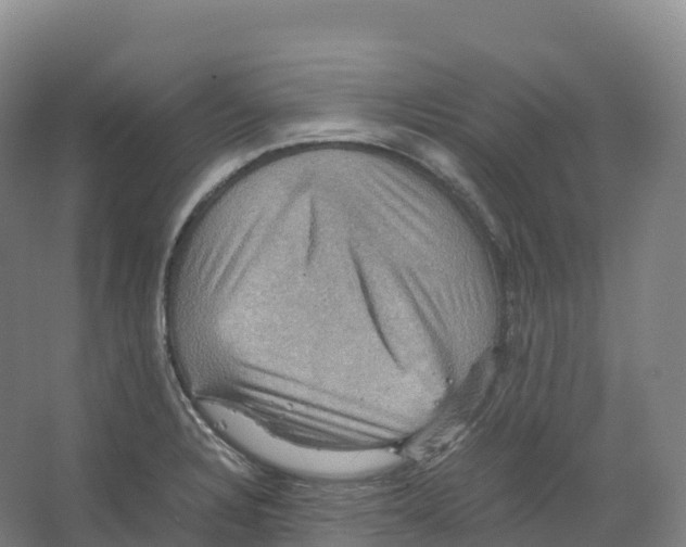 X0000066541328200604141855
