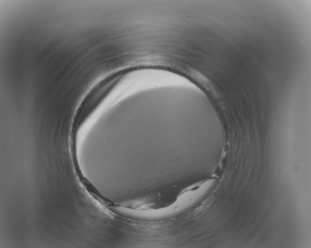 X0000066541334200604141855