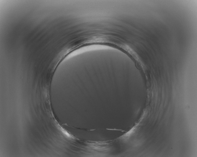 X0000066541337200604141855