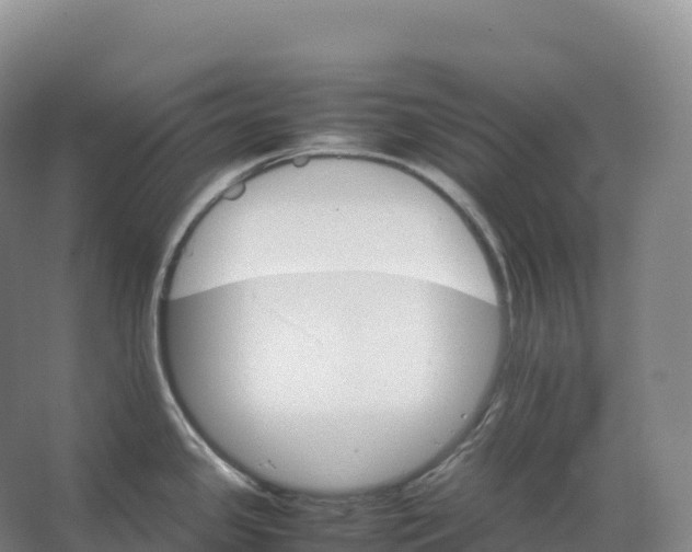 X0000066541341200604141856