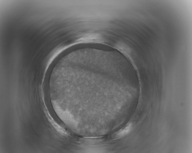 X0000066541344200604141856