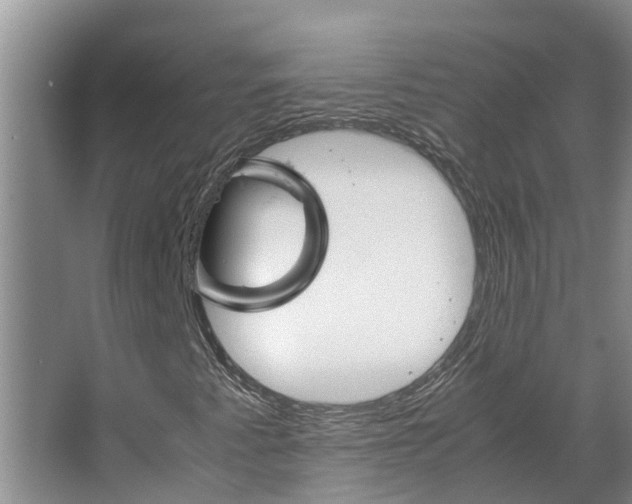 X0000066541345200604141855