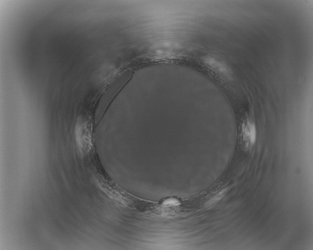 X0000066541348200604141855
