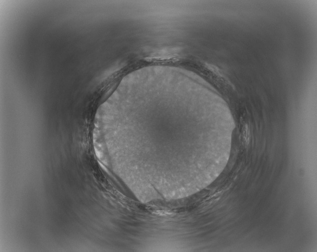 X0000066541350200604141855