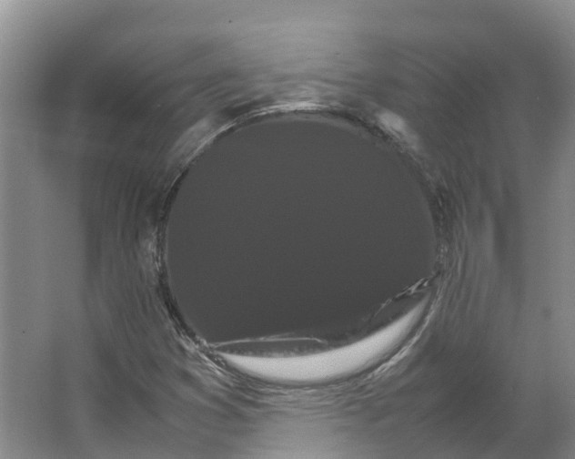 X0000066541353200604141855