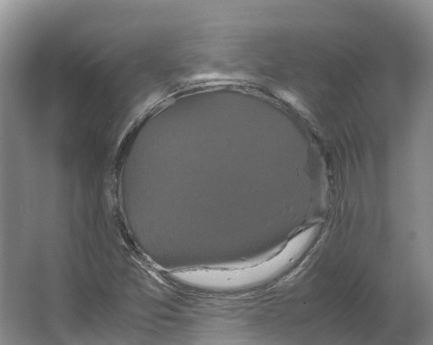 X0000066541357200604141855