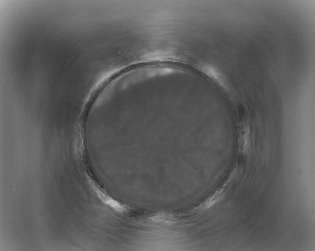 X0000066541358200604141855
