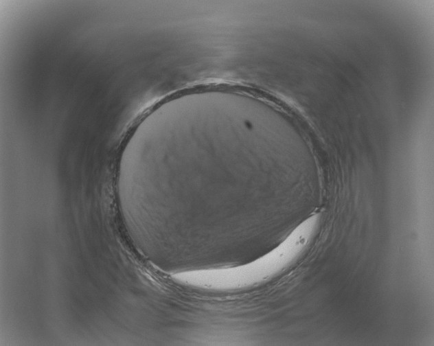X0000066541359200604141855