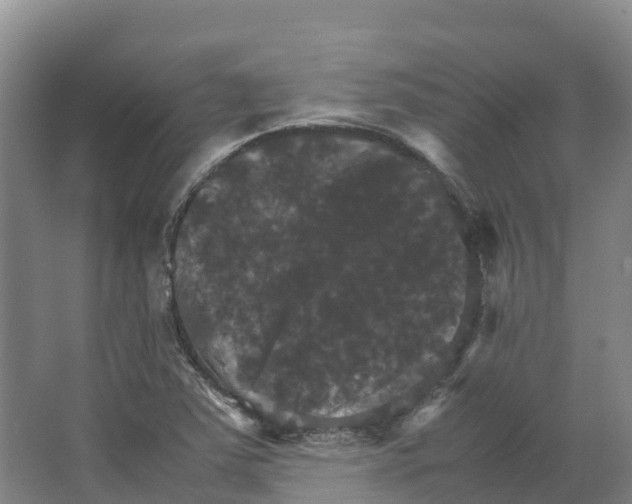 X0000066541363200604141854