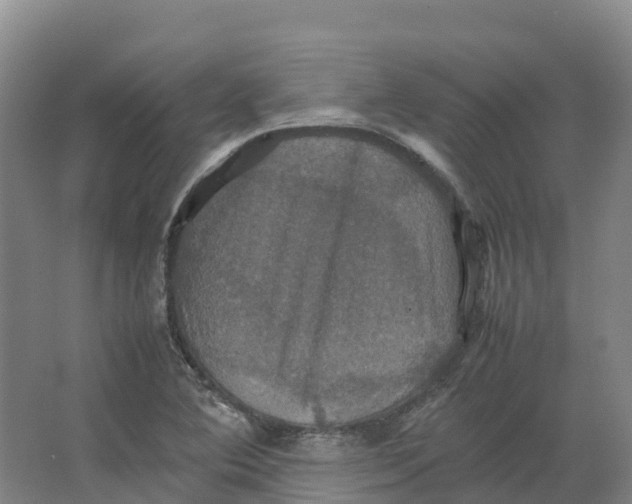 X0000066541364200604141854