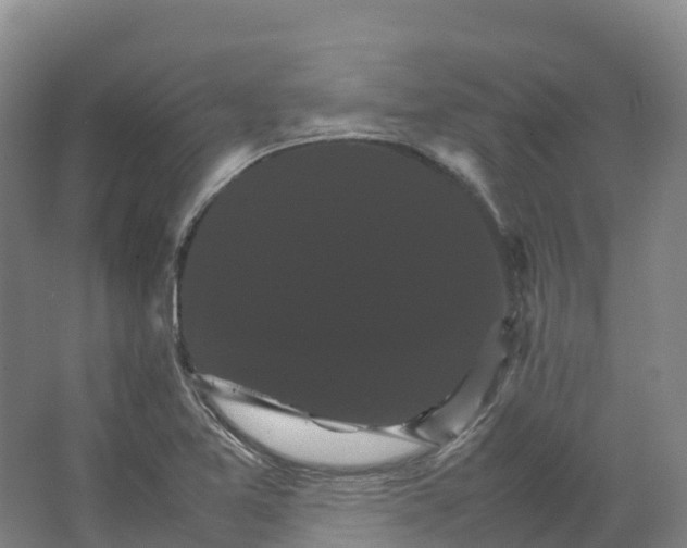 X0000066541365200604141854