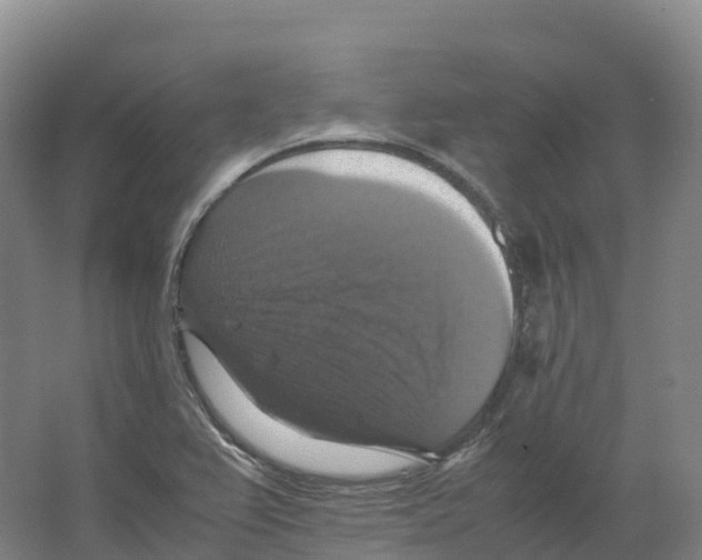 X0000066541367200604141854