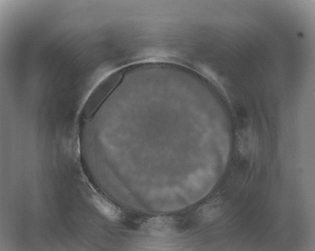 X0000066541368200604141854