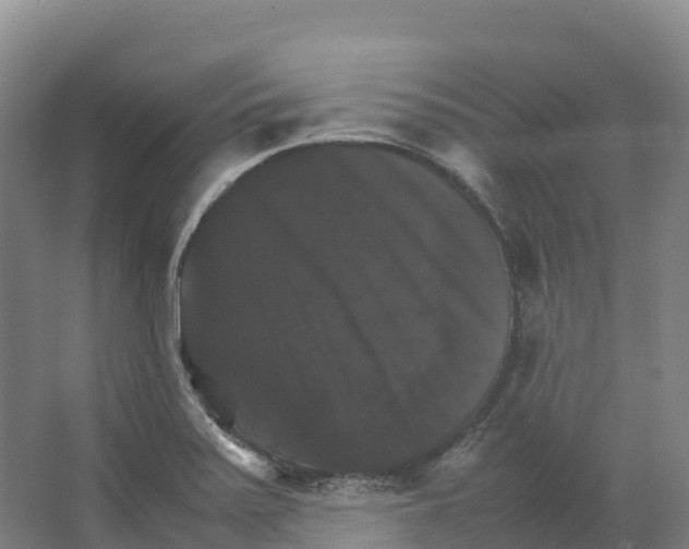 X0000066541371200604141854