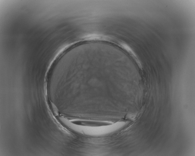 X0000066541376200604141854