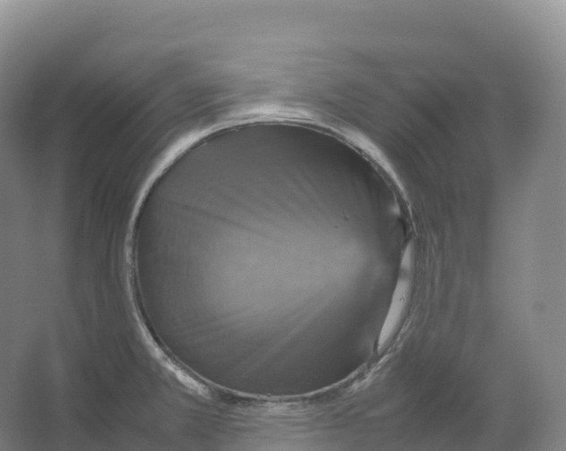 X0000066541381200604141854